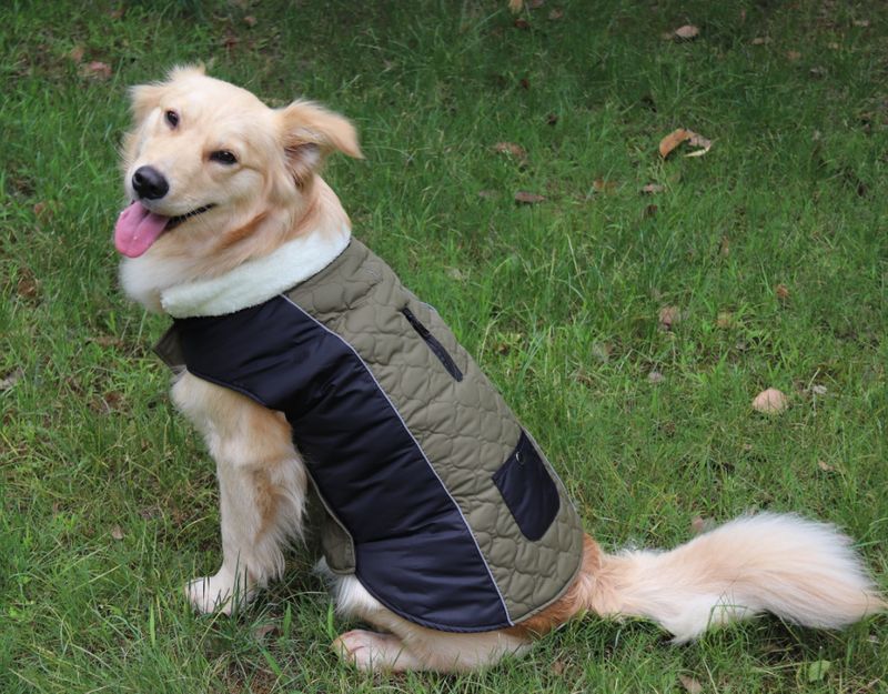 Pocket new pet clothes autumn and winter dog clothes vest cotton coat double sided wearable dog clothes coat clothing_voghion.com