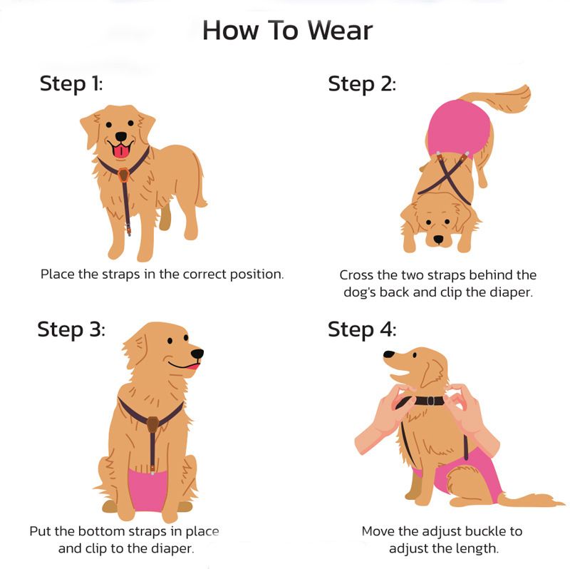 Liefert neue Haustierwindel Anti-Rutsch verstellbare Hundephysiologische Hosen Strap Clip_voghion.com