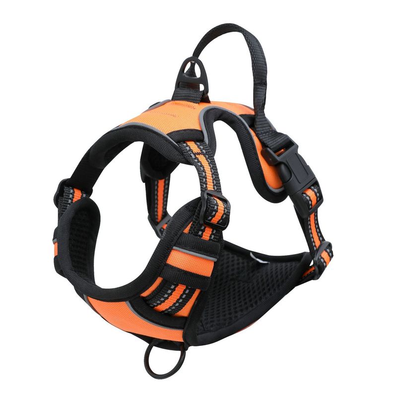 Pet Double Layer Explosion-Proof Dog Leash Buckle Collar Reflective Vest Harness_voghion.com