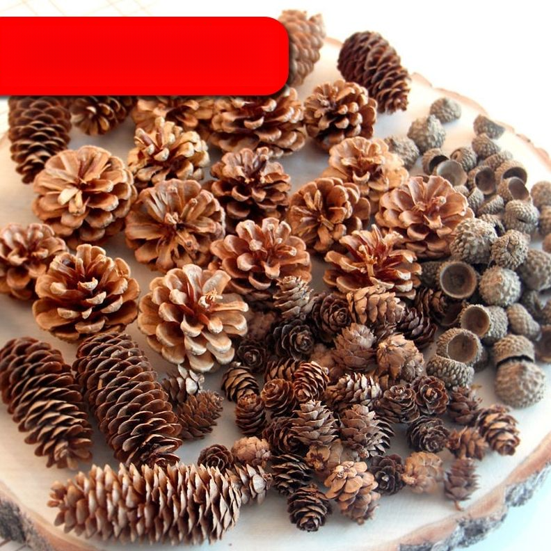 Decoration Pine Cone Acorn Flower Handmade DIY Forest Kindergarten Environmental Creation Dried Branches Wild Creative_voghion.com
