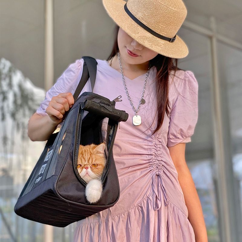 Bolsa de transporte de mano transpirable de verano para mascotas, bandolera plegable y ligera para gatos, bolsa portátil para exteriores_voghion.com