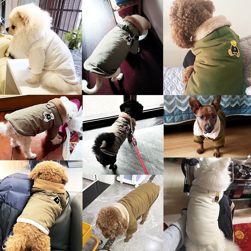 Winter Coat Dogs, Windproof Jacket With Fur Collar And Bear Print, Warm Outfit For Puppies By PawParty Store_voghion.com