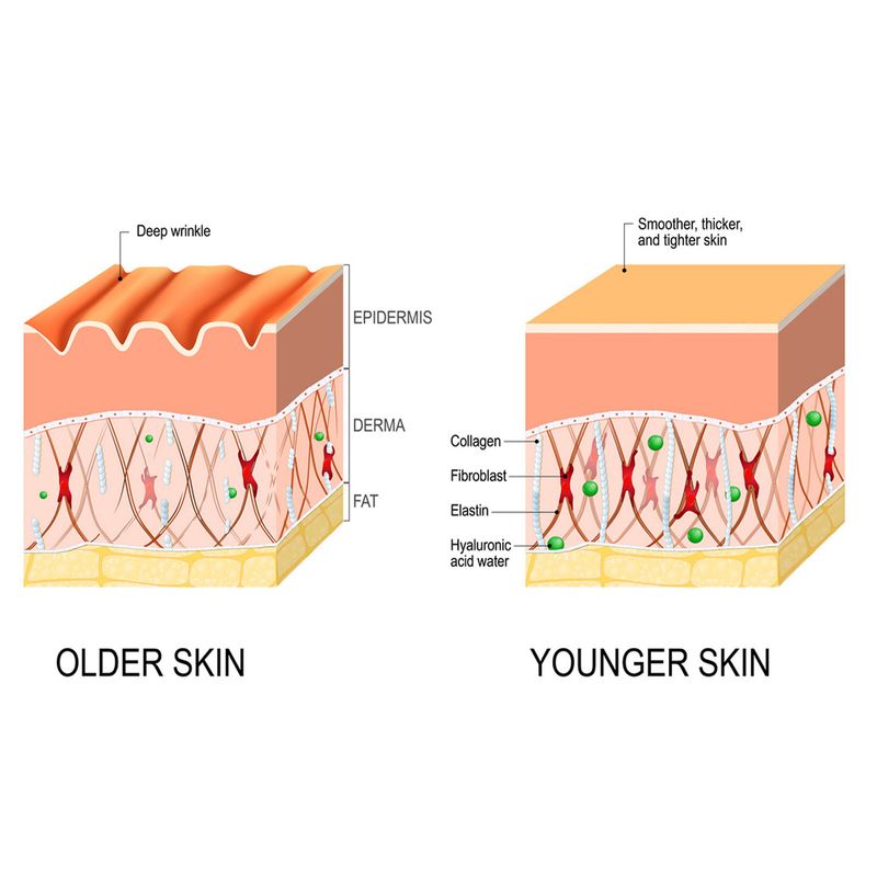 EELHOE Deep Anti-Wrinkle Serum, Lighten Fine Lines And Dark Circles Under The Eyes, Tighten And Adjust Skin Tone, Moisturize Skin Care_voghion.com