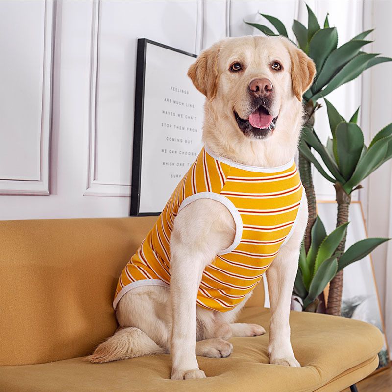 Hundekleidung Frühlings- und Sommerstil Golden Retriever Labrador Extract Mittelgroße große Hunde Baumwollfreie gestreifte Zweibeinweste_voghion.com