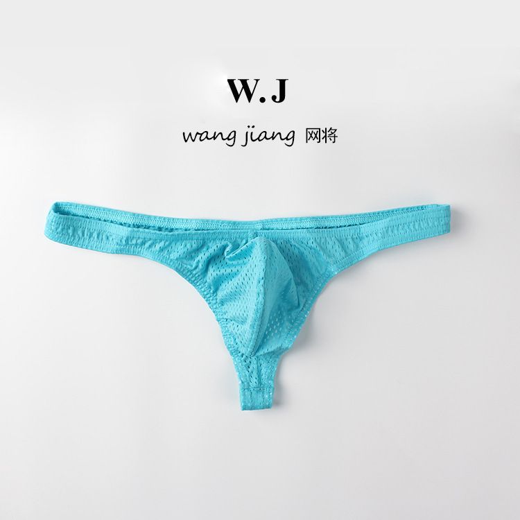 Men's Triangle Briefs Sexy Low Waist Nylon Ice Silk Mesh Breathable Thong T-Pants_voghion.com