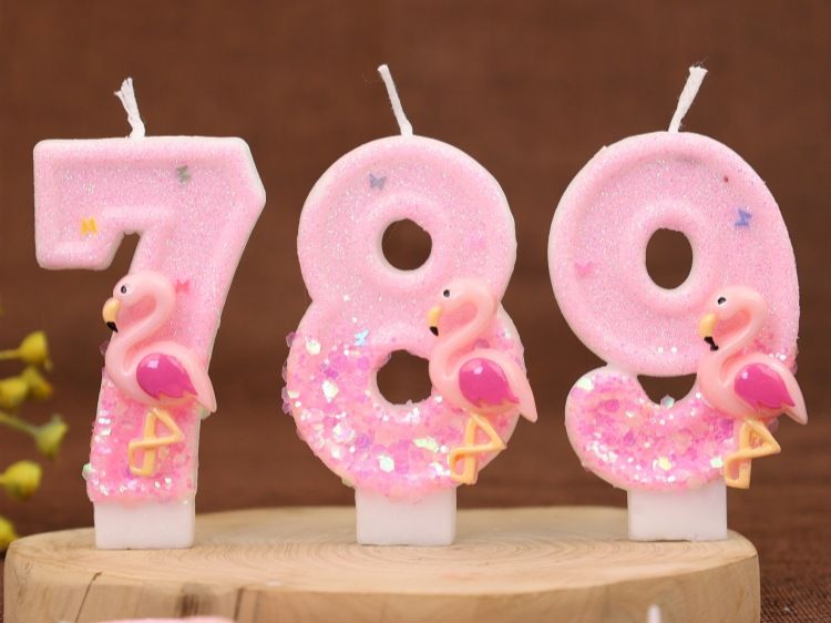 Creative Digital Birthday Cake Party Decoration Handmade Candle Flamingo Element_voghion.com