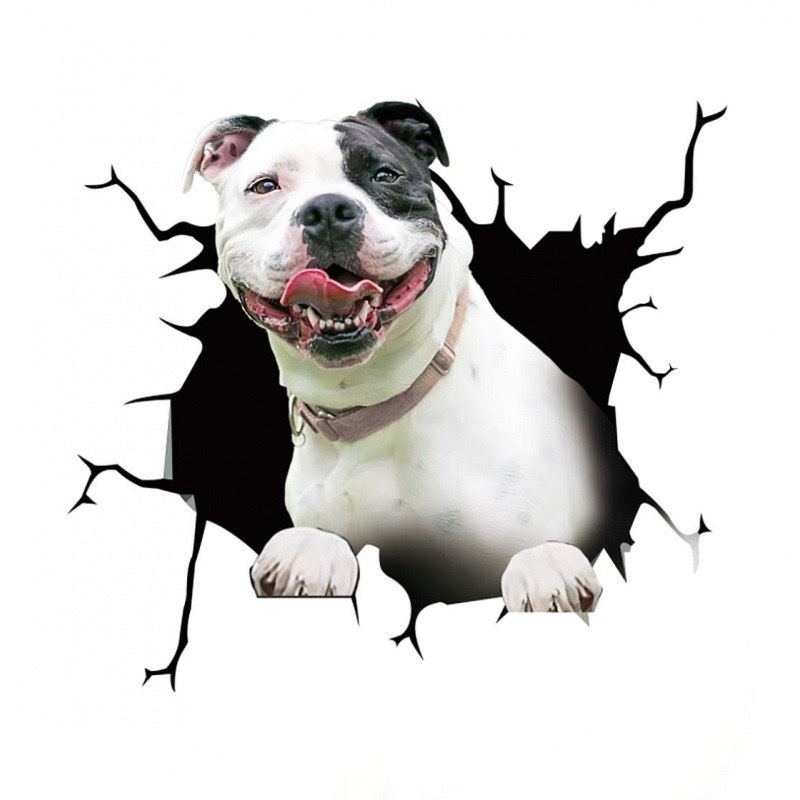 Creative cracked animal wall perforated car personalized glass stickers, dog stickers_voghion.com