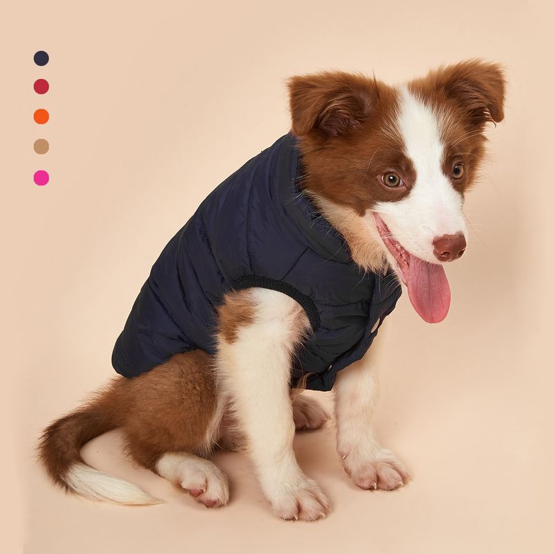 Winter Women's Warm Jacket With French Bulldog Lining Small And Medium Dogs, Soft Windproof Fabric Outfits For Labrador By PawParty Store_voghion.com