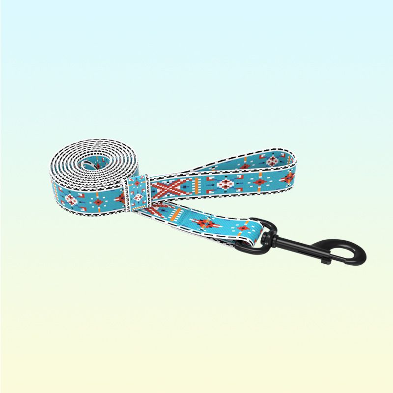 Bohemian Set Outdoor Chest Harness Smycz dla psa Akcesoria dla zwierząt_voghion.com