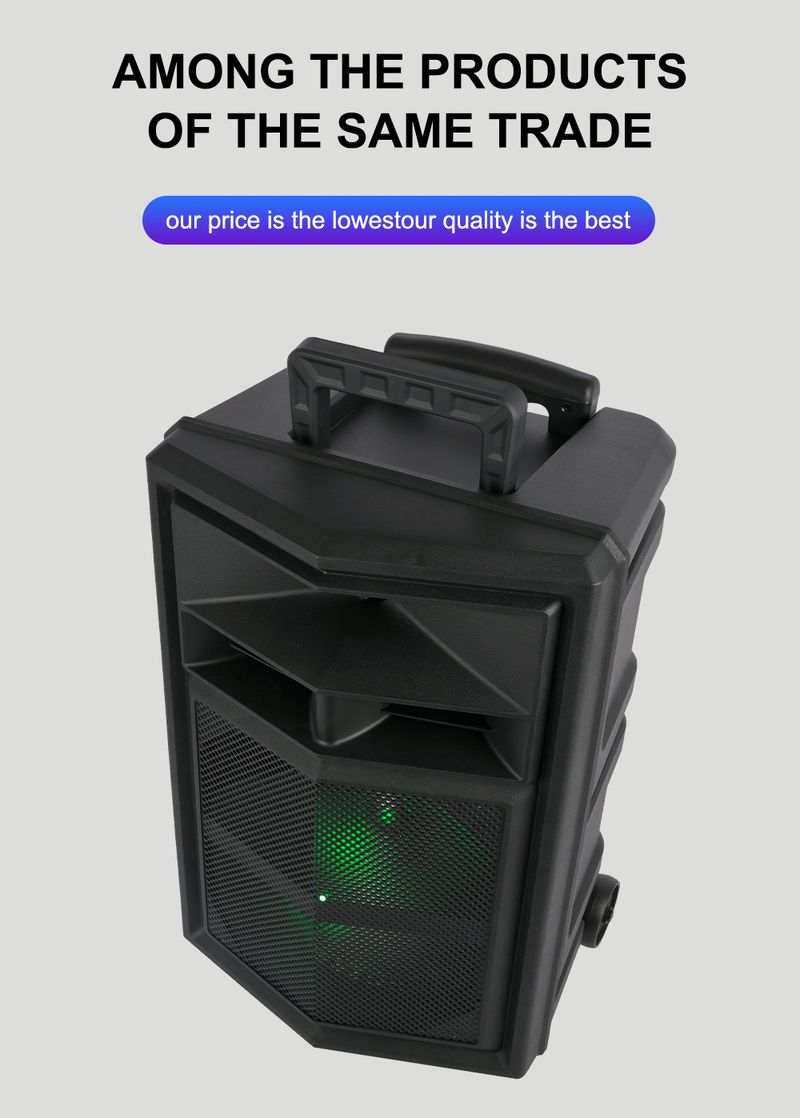 ZQS12130 suure võimsusega välitantsu helikaraoke mobiilne varraskõlar_voghion.com