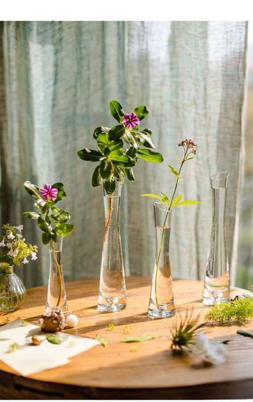 【 46000 People Collected 】 Juhan Nordic Ins High Beauty Arrangement Water Nourishing Small Vase Glass Transparent_voghion.com