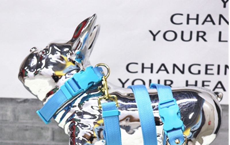 2022 New Solid Color Retractable Dog Running Pet Leash_voghion.com