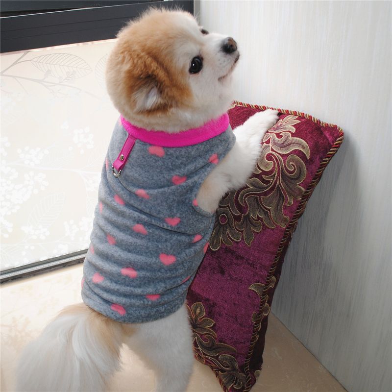 Abbigliamento per animali domestici diretto dalla fabbrica, per cani, autunno e inverno, in pile polare, fibbia di trazione, 27 colori brevettati, saranno oggetto di indagine_voghion.com