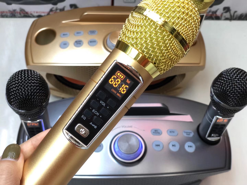 Altoparlante Bluetooth wireless professionale per karaoke con doppio microfono Sistema KTV per esterni Lettore musicale portatile_voghion.com