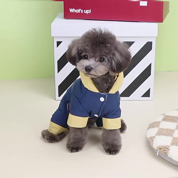 Manteau d'hiver chaud et isolant avec anneau en D, veste pour chiots de petite et moyenne taille, combinaisons et costumes pour chihuahua, par PawParty Store_voghion.com