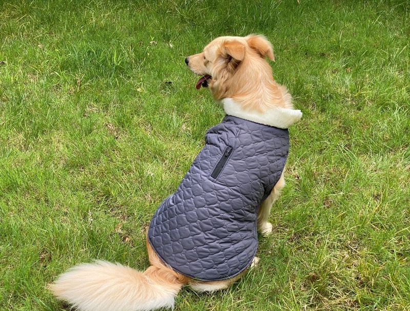 Pocket new pet clothes autumn and winter dog clothes vest cotton coat double sided wearable dog clothes coat clothing_voghion.com