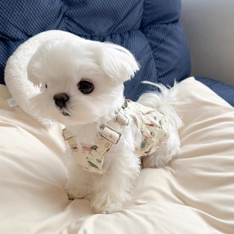 Pet Clothes Dog Spring Summer Suspender Dress With Leash For Small Dogs Yorkshire Bichon Maltese Cute_voghion.com