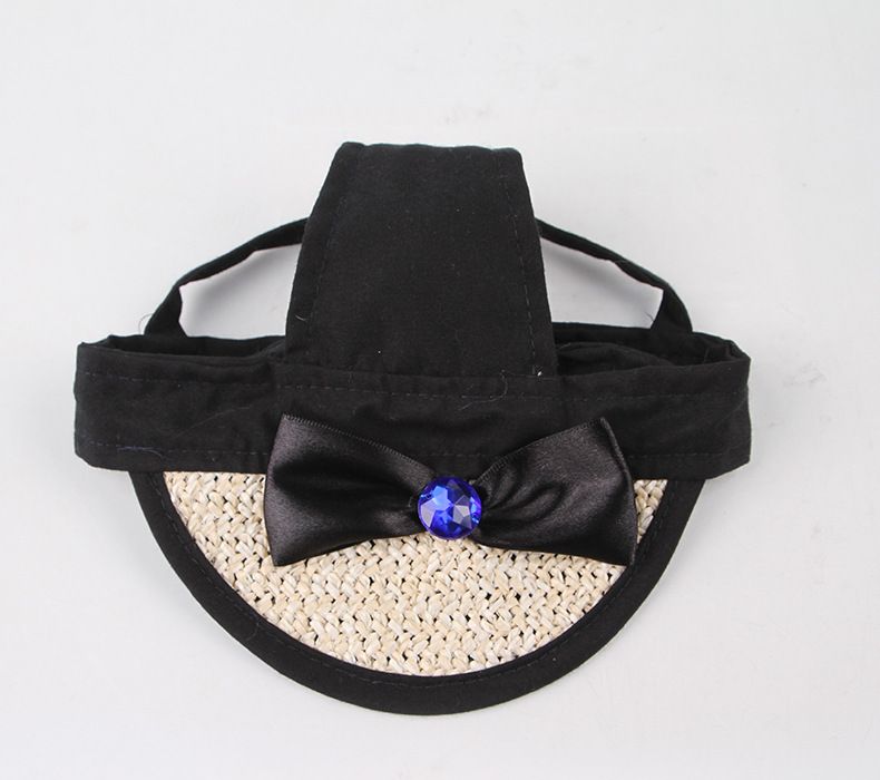 Kæledyrsudflugt Kat Sommerudgave Lille Hund Bamse Solcreme Øreeksponering Cool Hat_voghion.com