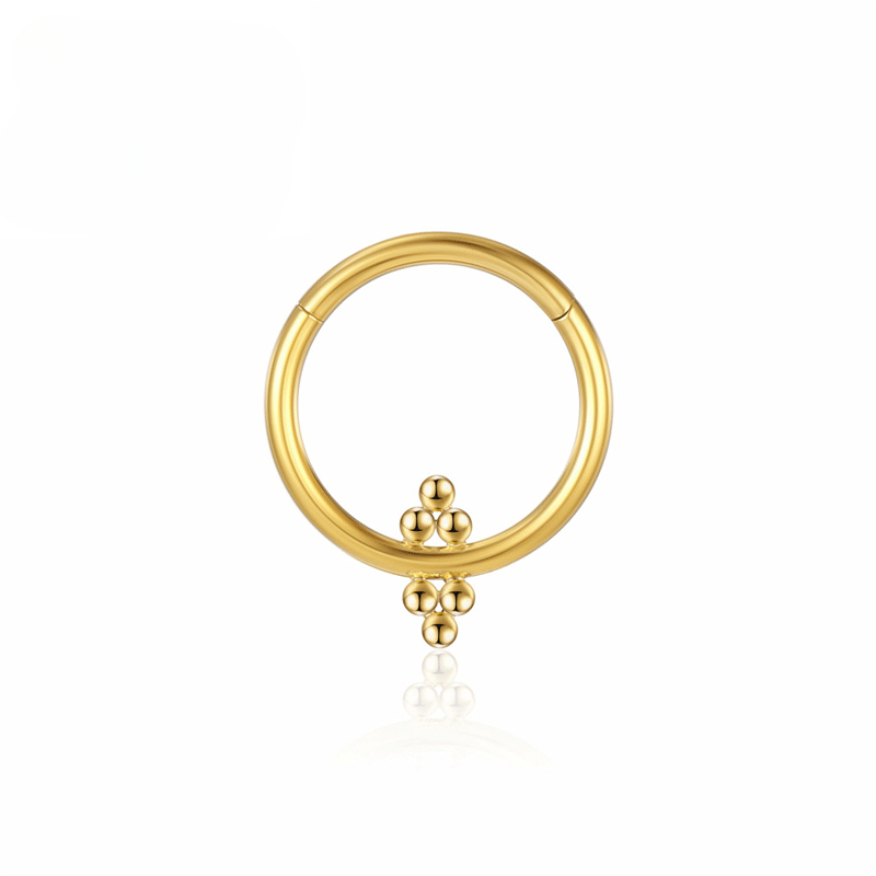 F136 Anelli al naso in titanio e zircone Piercing al setto Cartilagine Segmento incernierato Spirale 16G Orecchini Trago Elica Regalo Gioielli all'ingrosso_voghion.com