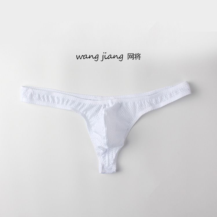 Men's Triangle Briefs Sexy Low Waist Nylon Ice Silk Mesh Breathable Thong T-Pants_voghion.com