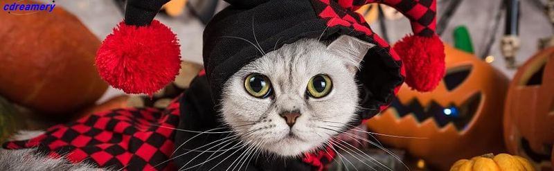 Katzen-Vampir-Halloween-Kostüm, Urlaubs-Verkleidung, Umhang mit Knopf für Kätzchen, kleine Hunde, mittelgroße Outfits, Cosplay-Dekoration, Party-Anzug_voghion.com