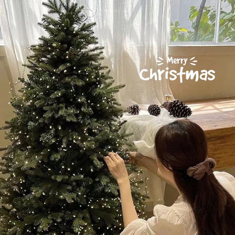 Weihnachtsbaum Haushalt große Simulation Ins Stil Weihnachtsdekorationen Pe Verschlüsselung neue DIY Ornament Paket_voghion.com