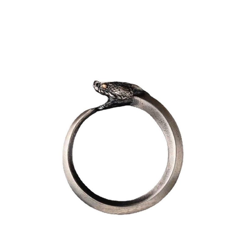 Anello in argento puro con drago e serpente, stile oscuro, con personalità e ciclo di vita._voghion.com