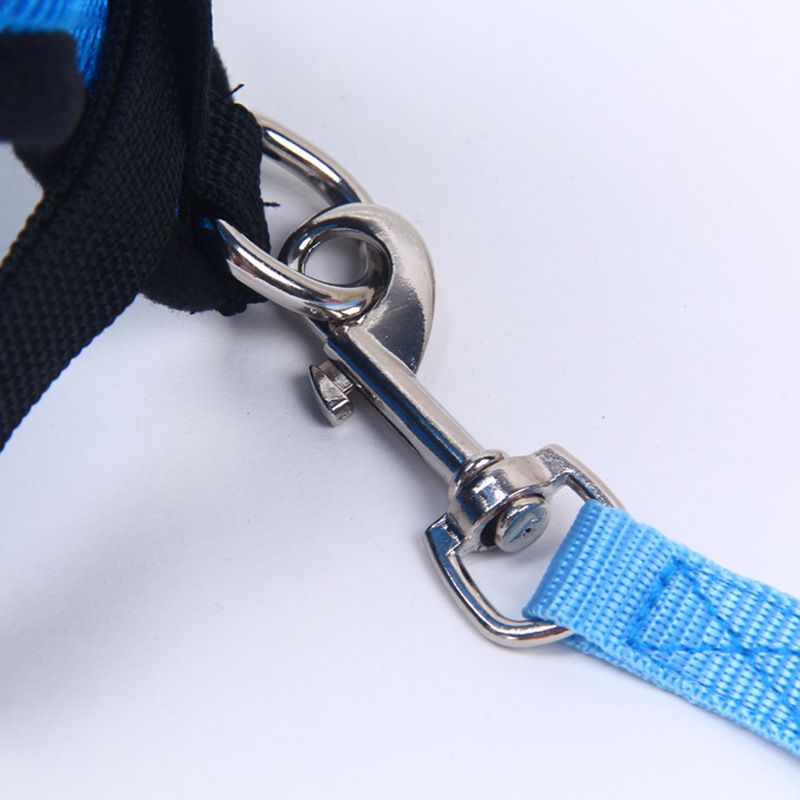 Vest-Style Pet Set Leash Breathable Mesh Dog Harness_voghion.com