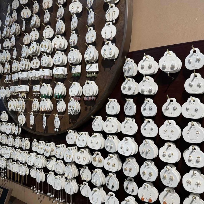 Orecchini in argento con aghi, accessori per il mercato notturno di Yiwu, gioielli per le donne_voghion.com