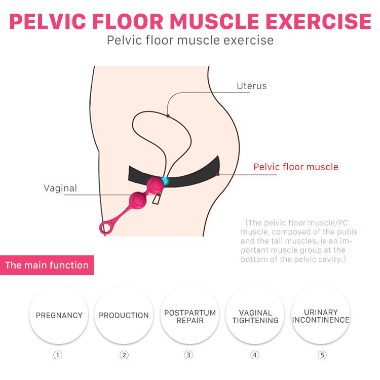 Products Vaginal Exercise Dumbbell Women's Postpartum Intimate Repair Device Kegel Smart Ball_voghion.com