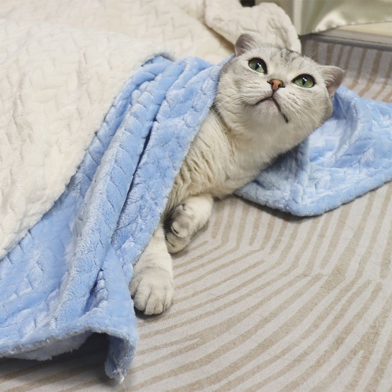 Weizenohr kleine Haustier Katze Nest Matte Hund Wärme Abdeckung Korallen Samt verdickte Decke_voghion.com