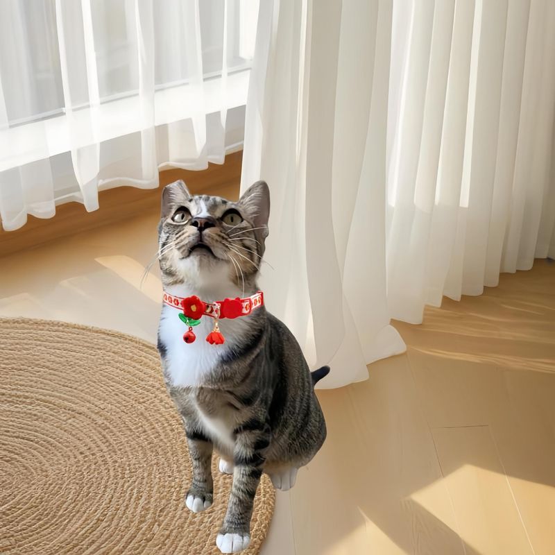 2024 Neues besticktes, frisches, verstellbares Sicherheitshalsband für Katzen, Heimtierbedarf_voghion.com
