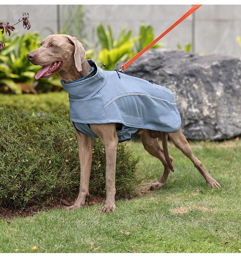Amazon neue warme Haustierkleidung wasserdichte verdickte Hundekleidung weiche Outdoor-Jacke Haustier-Hundekleidung_voghion.com