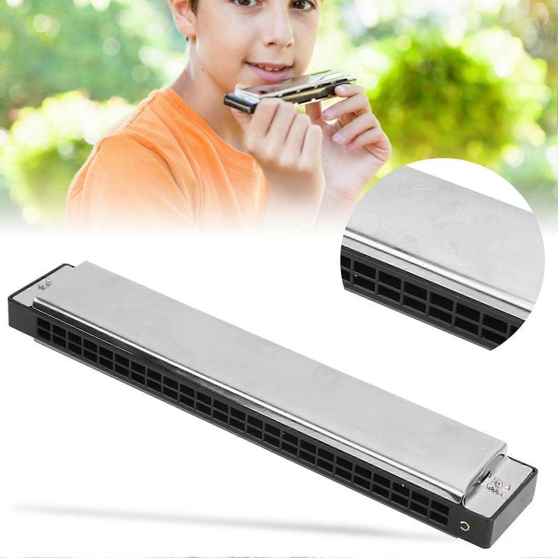 24-gaats mondharmonica C-toonsoort octaafstemming beginners populaire muziekinstrumentbenodigdheden_voghion.com