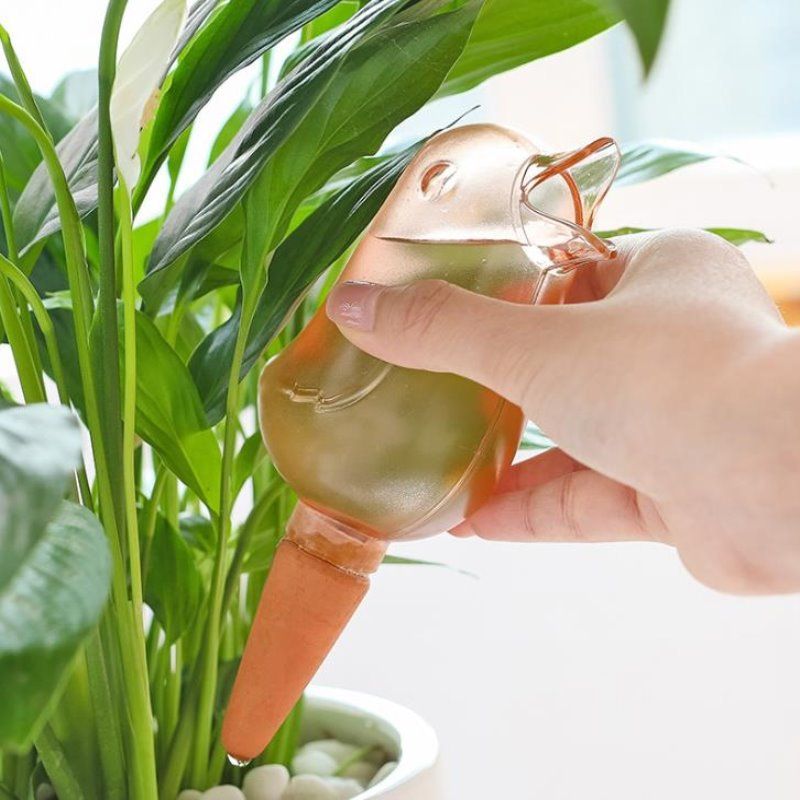 Korean-style Transparent Automatic Dripper Petal Flower Pot Automatic Watering Water Pot Bird-shaped Plant Lazy Flower Watering Kettle_voghion.com