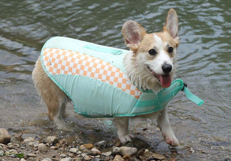 Life Pet Dog Corgi Fleece Clothes Shiba Inu Labrador Swimming Suit Summer Buoyancy Jacket_voghion.com