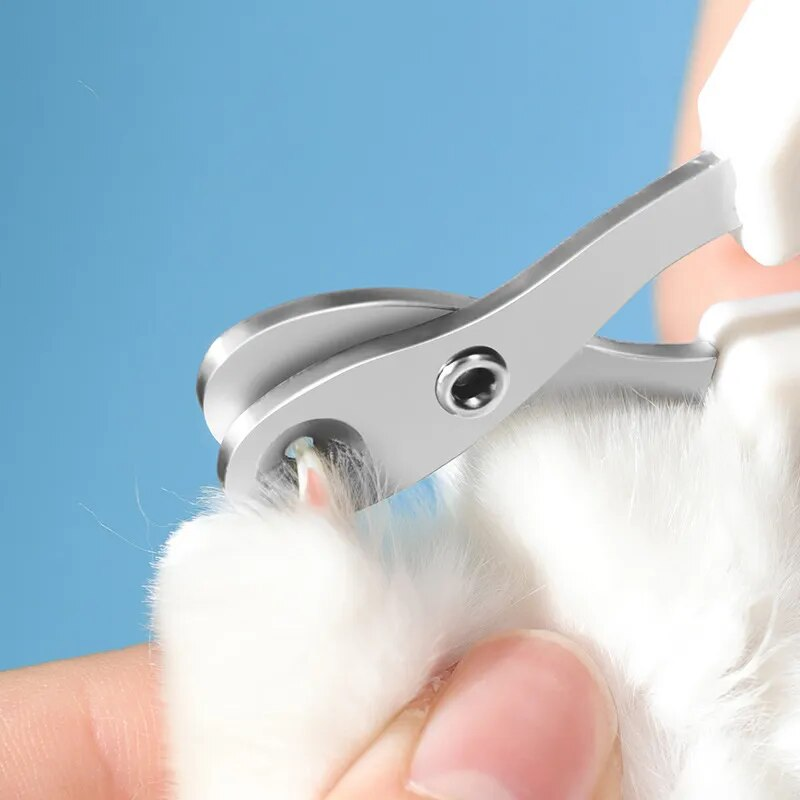Cortaúñas profesional para gatos pequeños, de acero inoxidable, para cachorros y perros._voghion.com