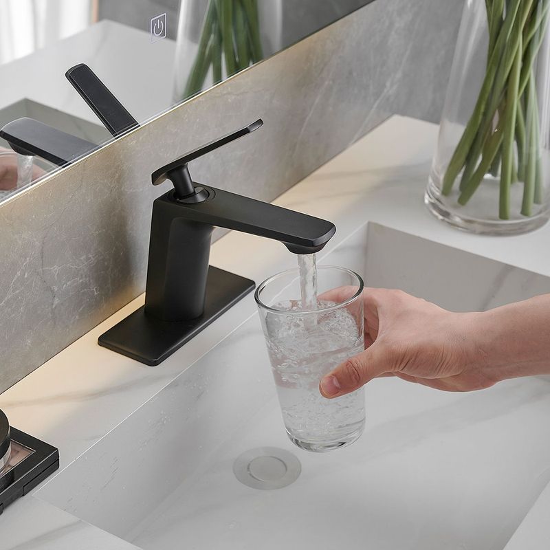 Single Hole Single-Handle Bathroom Faucet In Matte Black_voghion.com