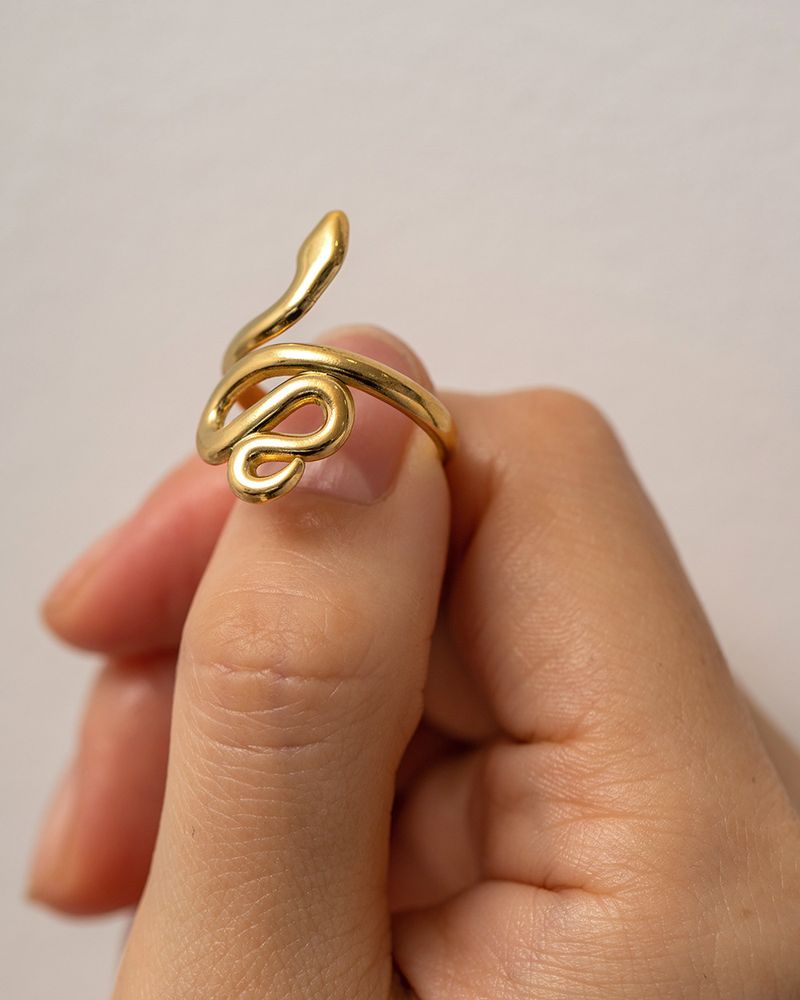 ins Wind ring anello di apertura a forma di serpente per la moda Joker pendolare anello in titanio in acciaio resistente allo sbiadimento_voghion.com