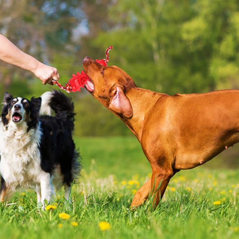 New Pet Dog Hide Food Stick Durable Chew For Small Medium Dogs Teeth Cleaning And Boredom Relief Toy_voghion.com