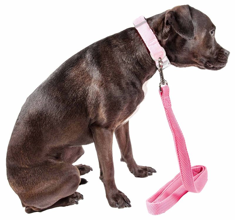 Pet Life 'Aero Mesh' Dual Sided Comfortable And Breathable Adjustable Mesh Dog Leash_voghion.com