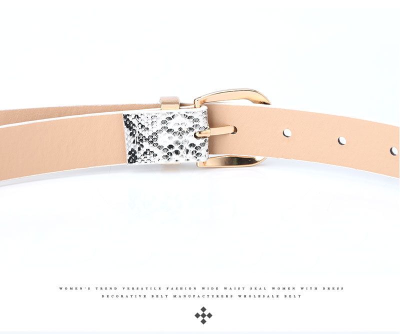 Women's Belts Snake Print Decoration Simple Belts Women's Jeans Belts Matching Dress Belts _voghion.com
