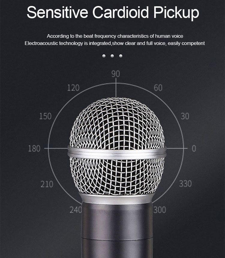 Drahtloser Karaoke-Dual-Handheld-Dynamikmikrofon-Professioneller Mi-Churh-Systemverstärker für Hochzeitsparty-Rede_voghion.com