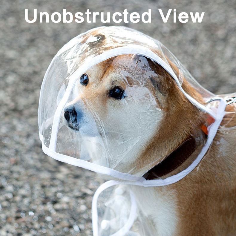 Golden Retriever Corgi Pomerania Pet Clothes Labrador Rain Poncho Cane Impermeabile Trasparente EVA_voghion.com