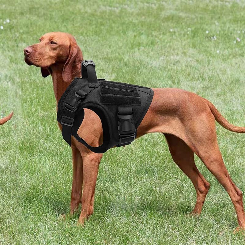 Mittlere und große Weste Nylon wasserabweisend Training Wolf Hundegeschirr explosionsgeschützt taktischer Anzug_voghion.com