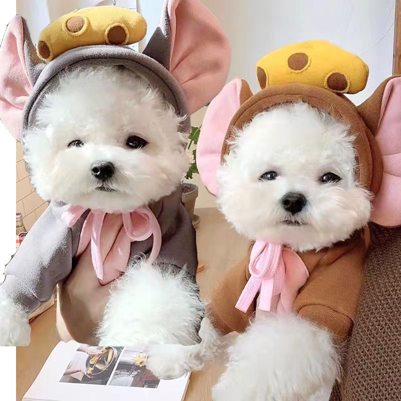 Trasformazione della frutta cane gatto cane di piccola e media taglia autunno e inverno gilet pile abbigliamento forniture pet Teddy metodo secchio produttori_voghion.com