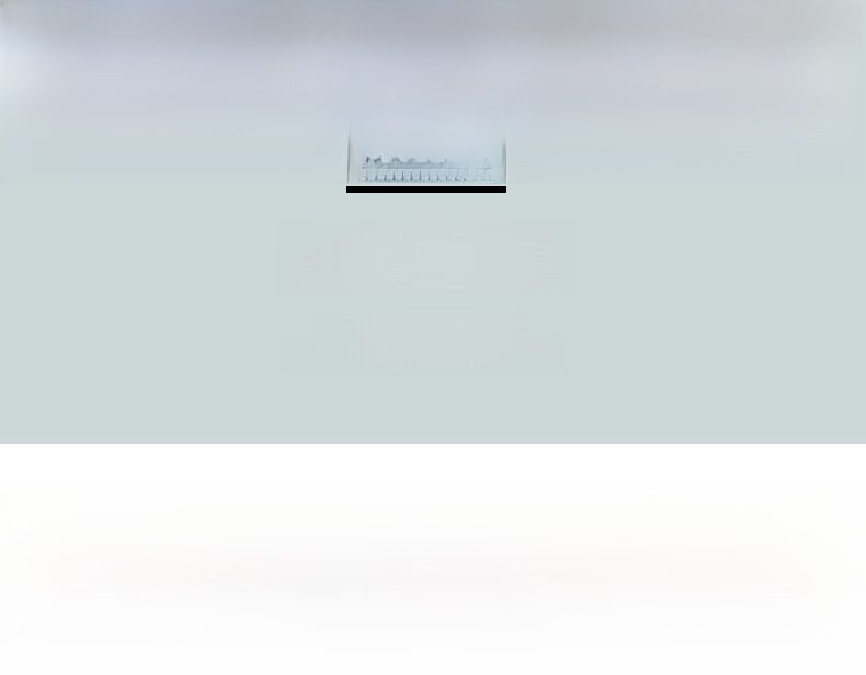 Cintura elastica con strass intarsiati e diamanti a tutto tondo, alla moda, da donna, con coprivita in cristallo, con diamanti scintillanti_voghion.com