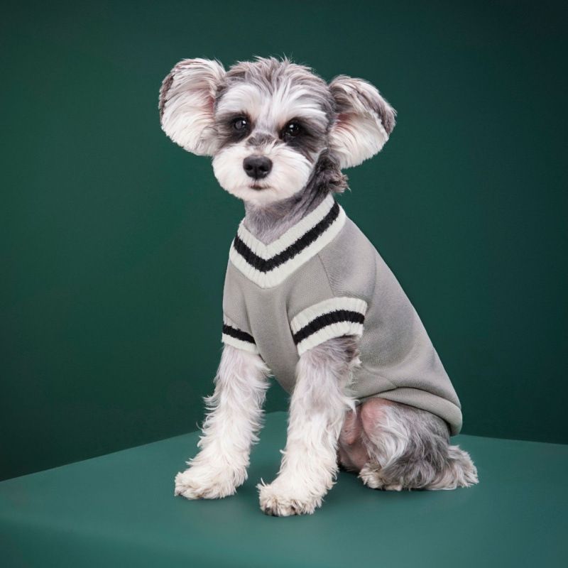 Clothes Campus Style Vest Badge Handsome Small Medium Large Cat Dog Knitted Cotton Couple Sweater_voghion.com