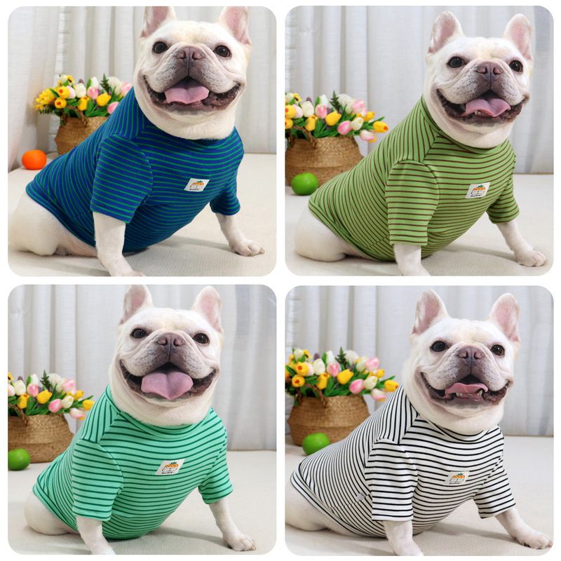 Maglietta super elastica in tessuto ispessito spazzolato autunno inverno, a righe elasticizzate, per il controllo del grasso, per cani_voghion.com