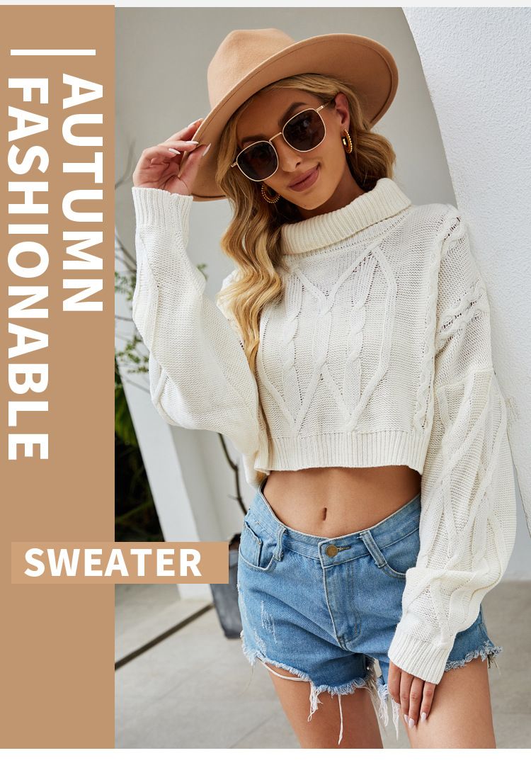 Einfarbiger langer Pullover, Strickpulloverrock, langärmeliges Rollkragen-Strickkleid_voghion.com